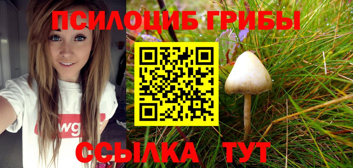 Ртищево  Псилоцибиновые грибы Cubensis  Вход с VPN 